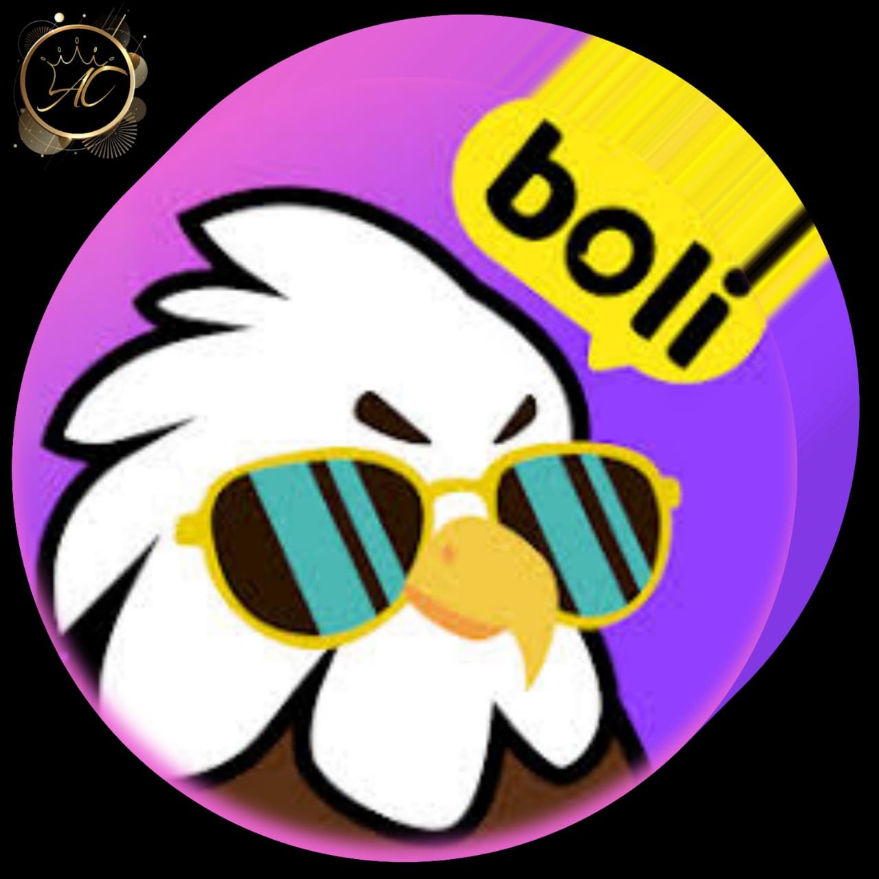 Boli Chat